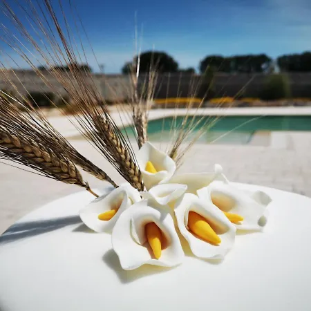 Séjour à la ferme Masseria Del Crocifisso *