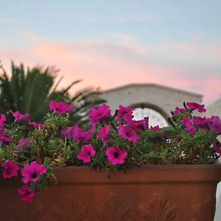 Alojamento de Turismo Rural Masseria Del Crocifisso
